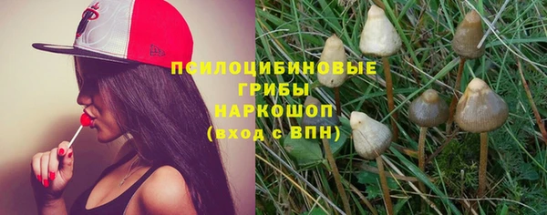 стаф Арсеньев