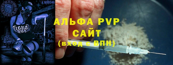 стаф Арсеньев