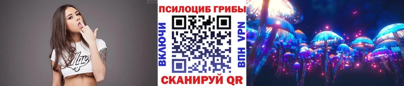 Псилоцибиновые грибы Psilocybine cubensis  Хадыженск 